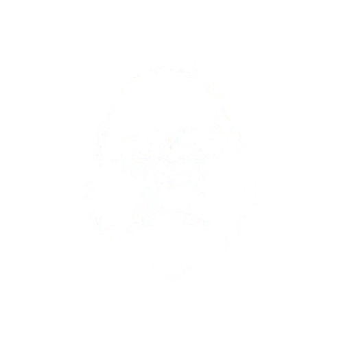 JungleKorp Logo